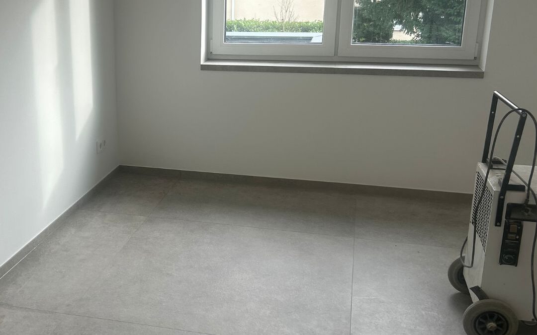 Alte Mauern, neuer Glanz – Altbausanierung